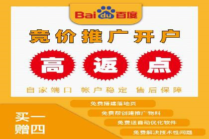 专业SEM运营托管服务案例分析